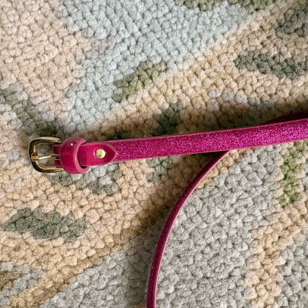 J Crew Sparkly Bright Pink Leather Belt